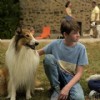 Lassie – Ein neues Abenteuer | DAS KINO